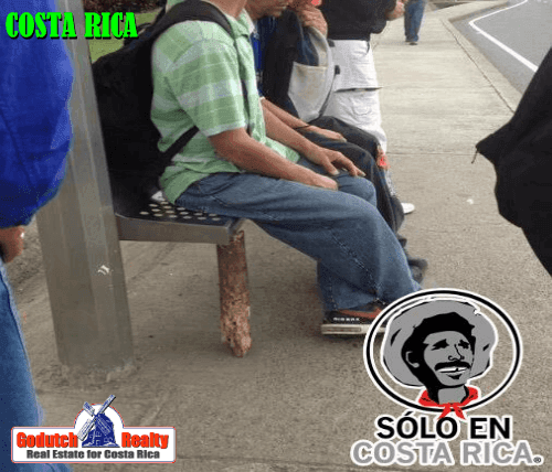 A hardwood quick fix solution