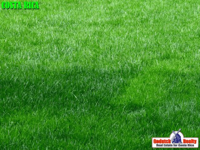 Zoysia Grass, a premium lawn grass, is a great solution Is there a severe water problem in Atenas?