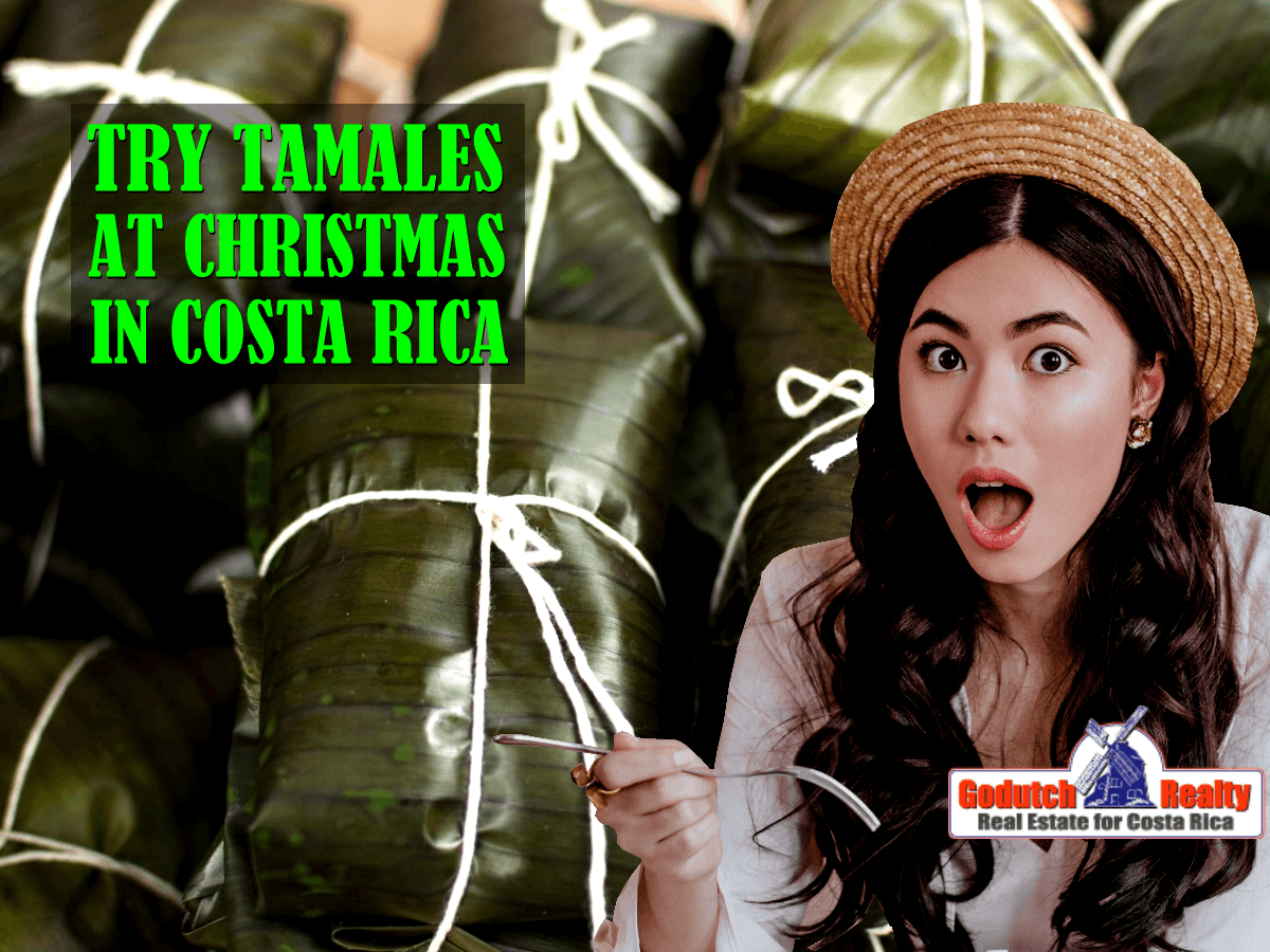 Tamales in Christmas time in Costa Rica | you must try it