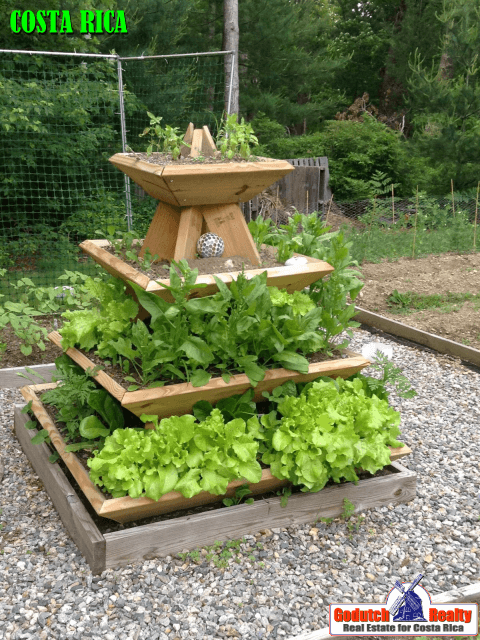 A wooden pyramid planter for all our starter herbs and vegetables Why is MacGyvering a must in Costa Rica?
