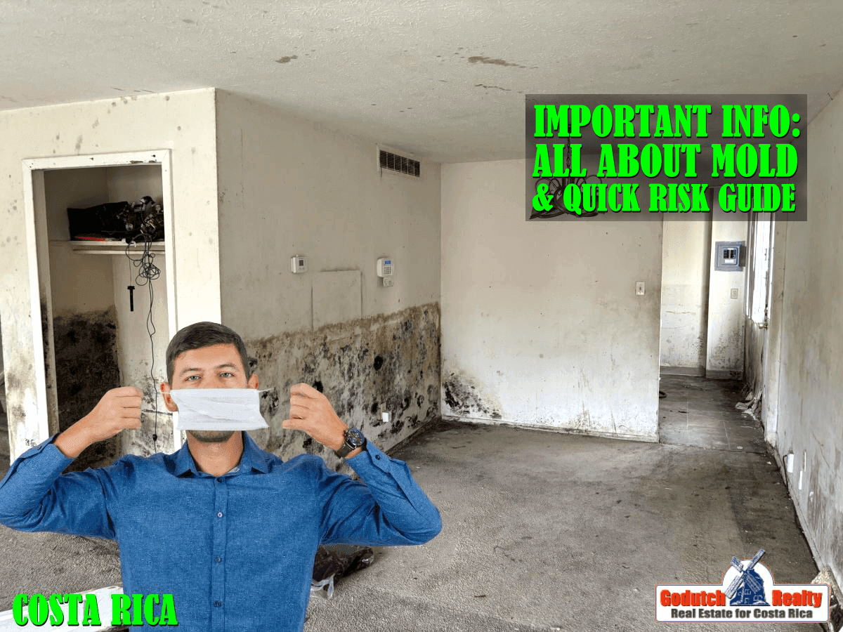 Can household mold in Costa Rica affect your health?